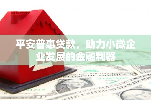 安远平安普惠贷款，助力小微企业发展的金融利器