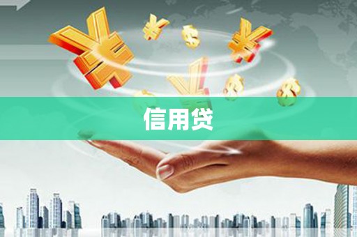 西盟信用贷