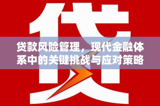 梅河口贷款风险管理，现代金融体系中的关键挑战与应对策略