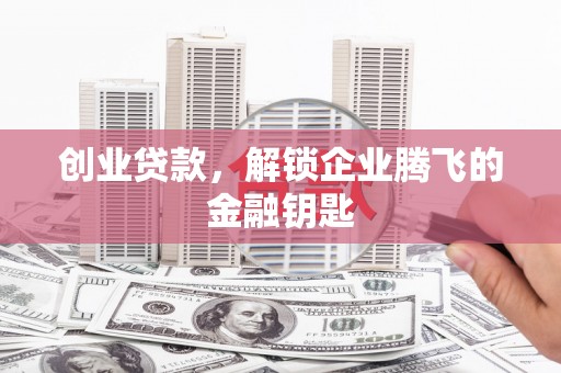 连南创业贷款，解锁企业腾飞的金融钥匙