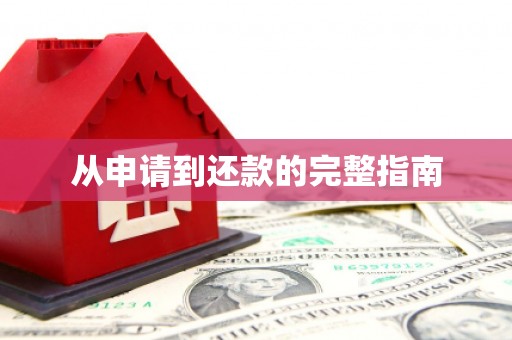 亭湖从申请到还款的完整指南