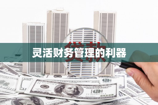 勐腊灵活财务管理的利器