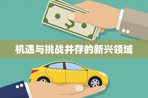 安溪机遇与挑战并存的新兴领域