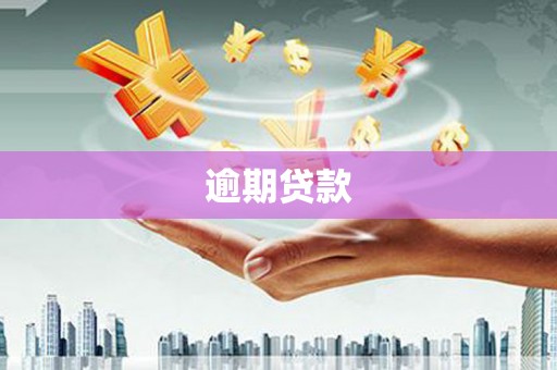 新巴尔虎左旗逾期贷款