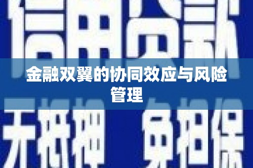 海州金融双翼的协同效应与风险管理