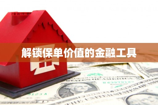 靖西解锁保单价值的金融工具
