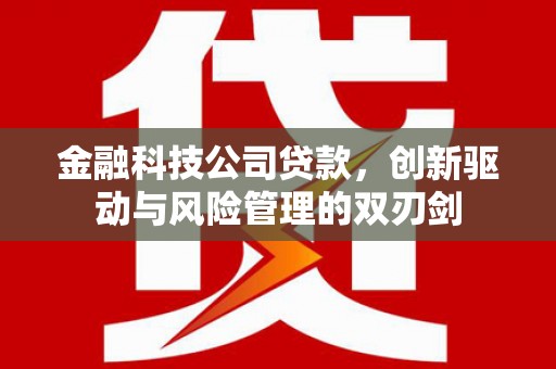 石冈金融科技公司贷款，创新驱动与风险管理的双刃剑